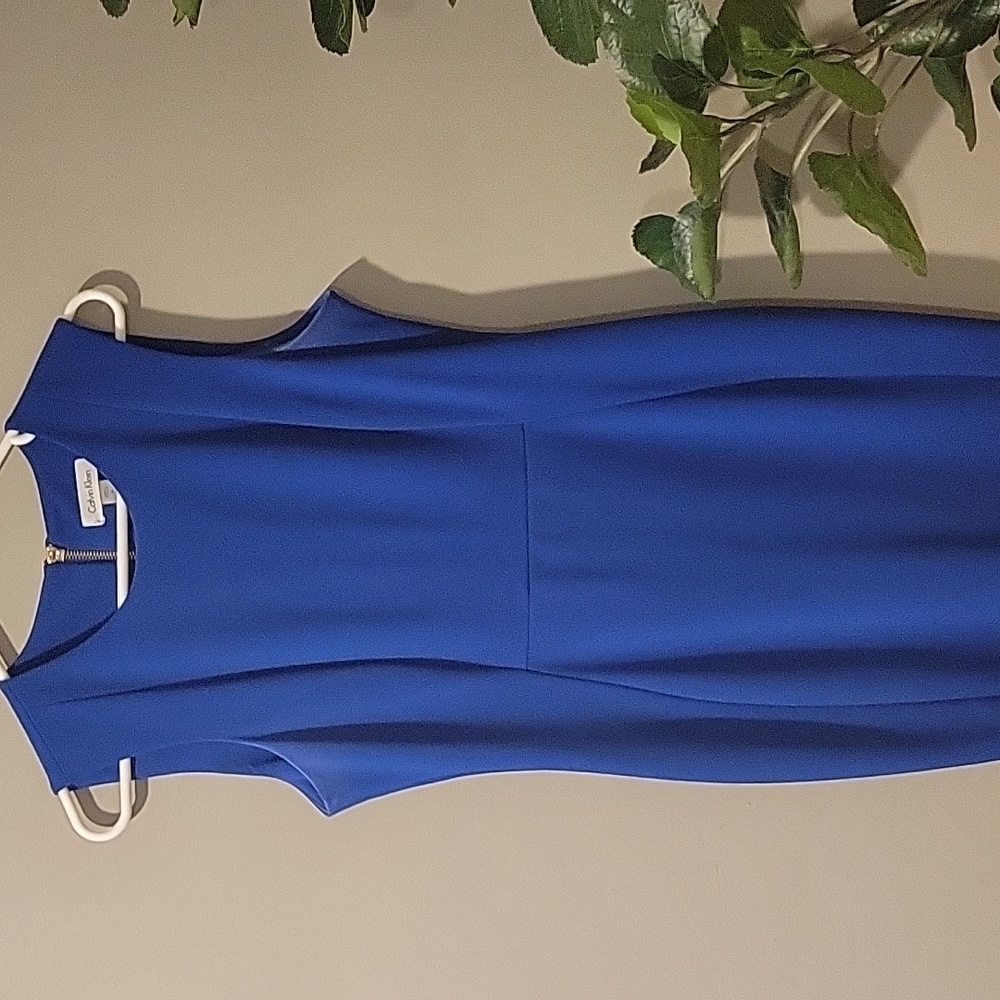 Blur Calvin Klein Dress